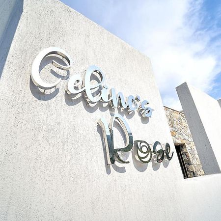 Celine'S Rose Aparthotel Skala Potamia  Exterior photo